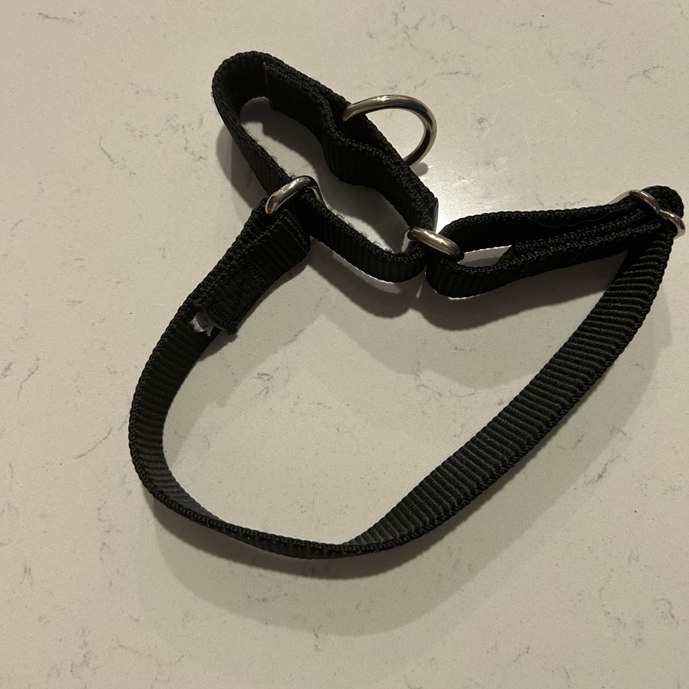 2 Martingale dog collars, one pink, one black Adjustable Strap